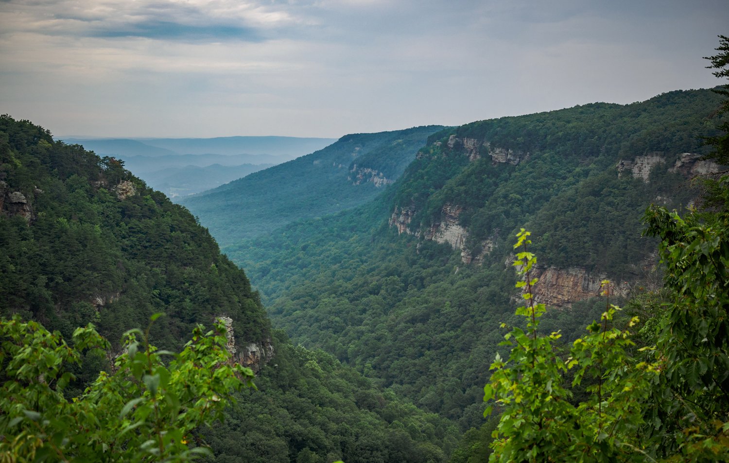 Cloudland Canyon - William Brawley