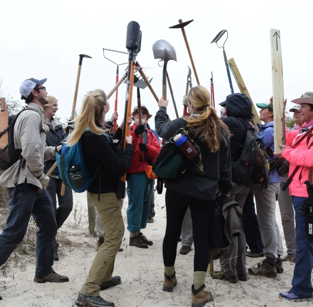 Group of volunteers raising trail tools together during a conservation project on Cumberland Island.